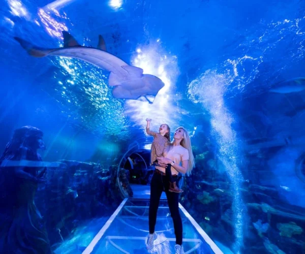 National Sea Life Centre Entrance Ticket