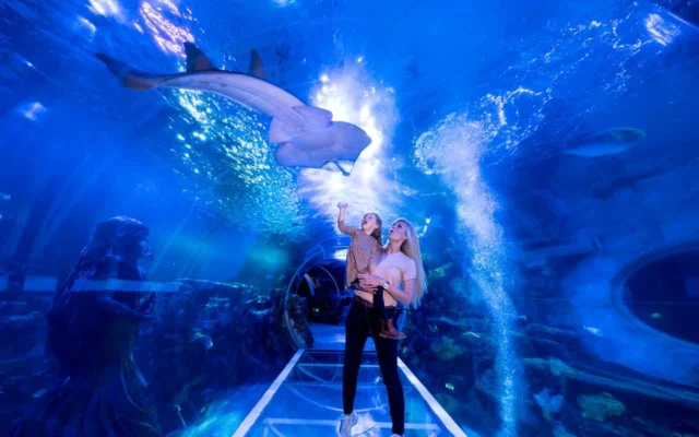 National Sea Life Centre Entrance Ticket